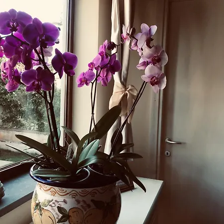 Poseidone * Villasimius